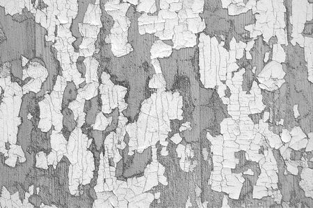 Black-and-white texture of an old worn-out imitation leatherの写真素材