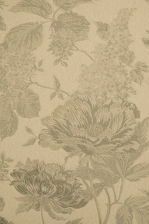 the abstract textured background of beige color with large flower patternsの写真素材