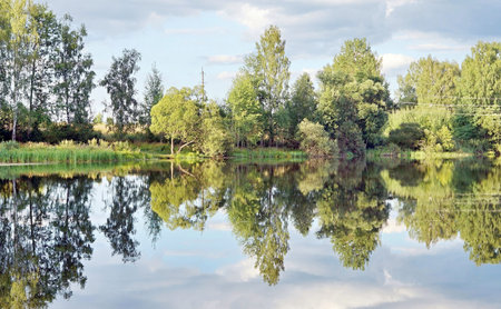 landscape of rural areas on the bank of the big lake with reflection of clouds and trees in water