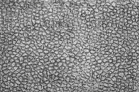 the abstract textured surface of leather of gray color with a silvery stamping closeupの写真素材