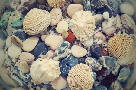the digital photo with a retro effect of the underwater world of a seabed closeup with various cockleshells and stones in sunlight beamsの写真素材