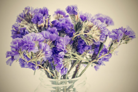 dry bouquet from abstract small violet flowers on an empty background closeup with a retro effect