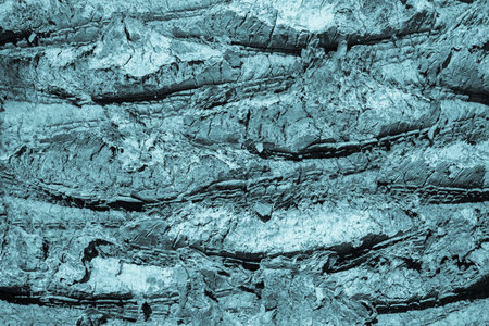 abstract bumpy texture of a surface of a palm trunk closeup for natural backgrounds and for...