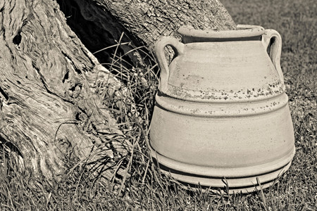 one big ancient ceramic pot closeup against a trunk of an old tree with a hollowの写真素材