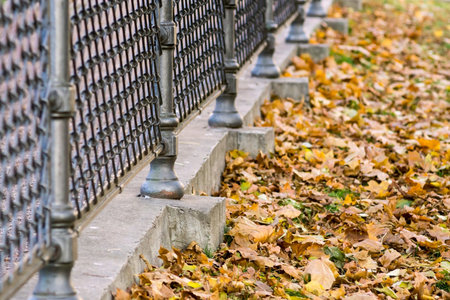 abstract fragment of an iron fence with the vague image and a lot of foliage on the earthの写真素材