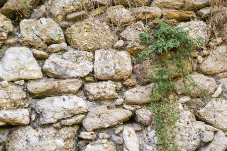 texture of an old stone wall of ancient fortress closeup for abstract backgrounds and for wallpaperの写真素材