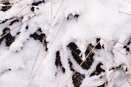 winter snowdrifts from white brilliant snow and an old dry grass for abstract natural backgroundsの写真素材