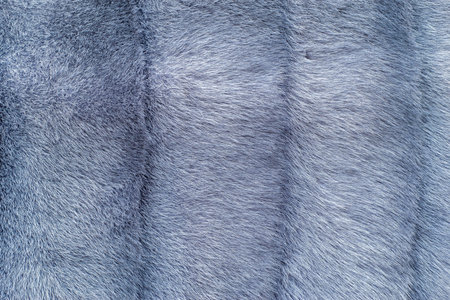 various fluffy and soft abstract fur texture for a design background