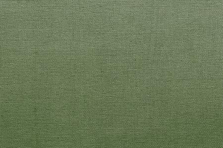 textural plexus from of threads fabric of pale green color for textile background or for grid wallpaperの写真素材