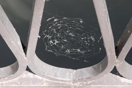 the old cobwebs with abstract vague texture is located closeup on a fragment of an iron fenceの写真素材