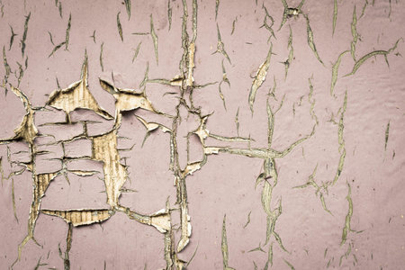 old texture of a peeling of the wooden board painted in the pale color for abstract backgroundの写真素材