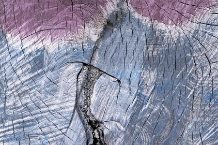 spotty wooden texture, old with cracks, closeup for an abstract natural backgroundの写真素材