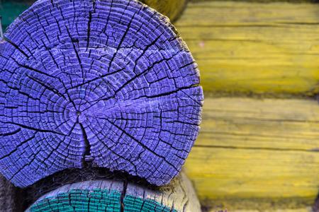 fragment of an old wall closeup from wooden logs of violet green yellow color and a blank spaceの写真素材