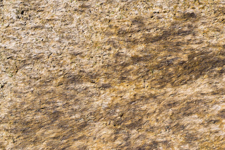 textured surface old grass or seaweed of brown color for abstract natural background and for...