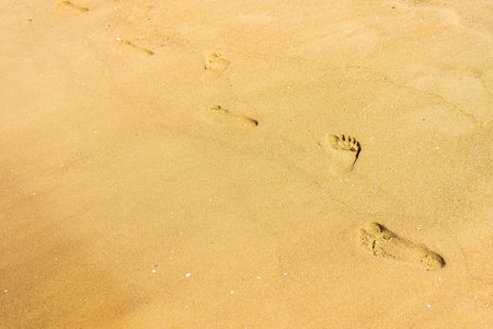 traces of human legs on the sandy surface of the beach or coastの写真素材