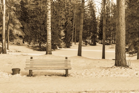 one old bench on snow in the avenue of the winter park or in the winter wood of color sepiaの写真素材