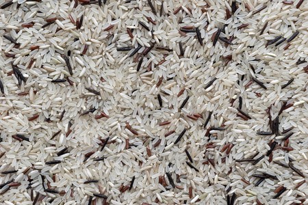 dried grains or seed white and black of wild rice for a background and texture closeup of speckled colorの写真素材