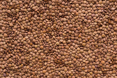 dried grains or seeds of lentil for a background and texture closeupの写真素材