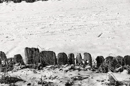 rotten and mouldering fencing from wooden stubs and snow of monochrome toneの写真素材