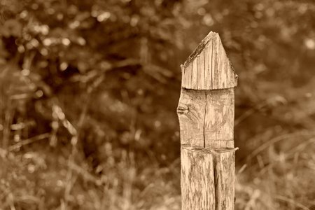 one old wooden column without fence in the foreground and on an indistinct background of plants of color sepiaの写真素材