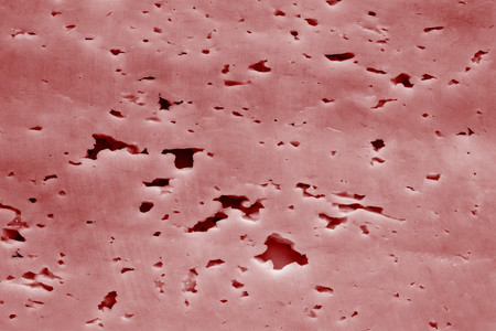 background and abstract porous texture closeup of red colorの写真素材