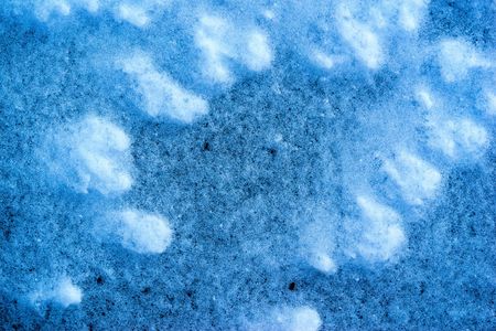 snow texture of a winter cover closeup for an abstract background or for wallpaperの写真素材