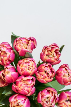 closeup of a bouquet of flowers of red tulipsの写真素材