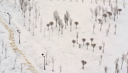 winter landscape of the park with abstract small trees and with a footpath and lanterns from height of bird's flight for a natural backgroundの写真素材