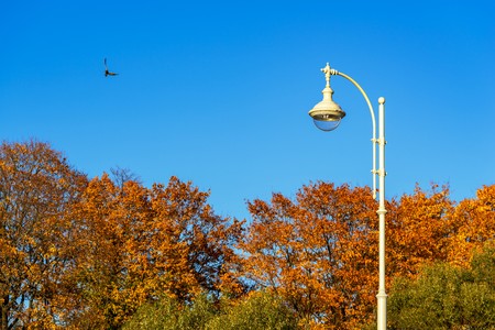 one lamp on a column in the park against the background of the blue sky and autumn treesの写真素材