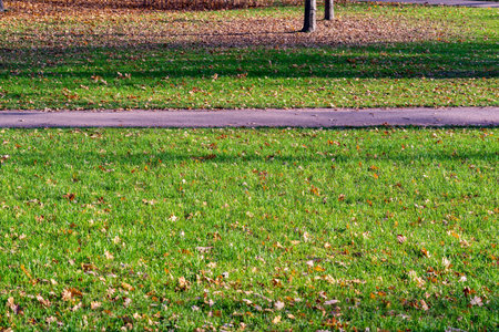 fragment of the pedestrian footpath in the park for a natural background