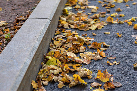 autumn foliage closeup on road asphalt about a stone border