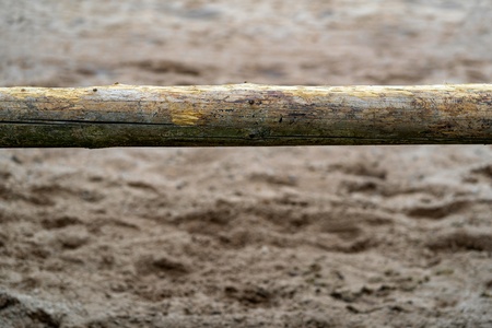 one wooden big log is located in the foreground horizontally and closeup on an indistinct abstract backgroundの写真素材