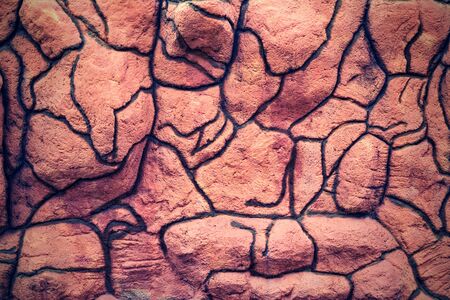 tuberous concrete wall with an abstract cellular and twisting pattern a closeupの写真素材