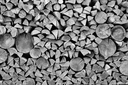 Texture of an end face of wooden firewood in a stack for a background or for wallpaper of monochrome tone.の写真素材