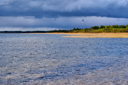 landscape of the blue lake with trees and a cane grass ashore and the storm cloudy sky
