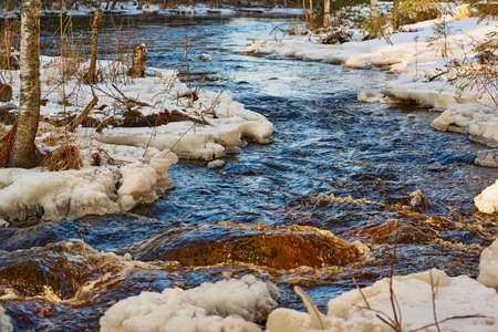 beautiful landscape of a stormy river in a wild forest in spring and close-upの写真素材