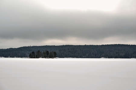 winter landscape with white snow in a field or on a large lake and with forest on the horizonの写真素材
