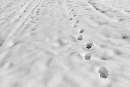 abstract human footprints on a white snowdrift for natural backgroundの写真素材