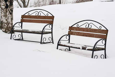 two empty old closeup benchs in a snowy winter parkの写真素材