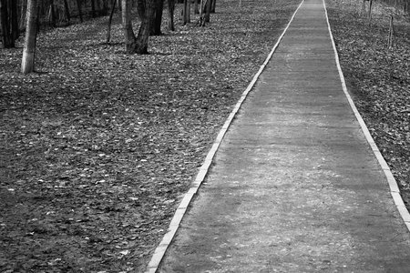 walking path or walkway in the park closeup in black and white photography for natural background