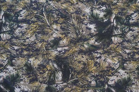 masking natural coniferous pattern on camouflage fabric for abstract background or wallpaperの写真素材