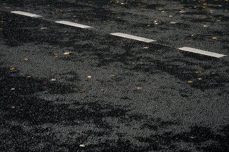 dotted white road markings on black asphalt with fallen leavesの写真素材