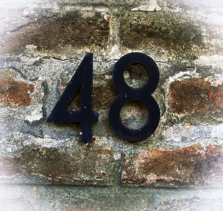 Number 48の写真素材