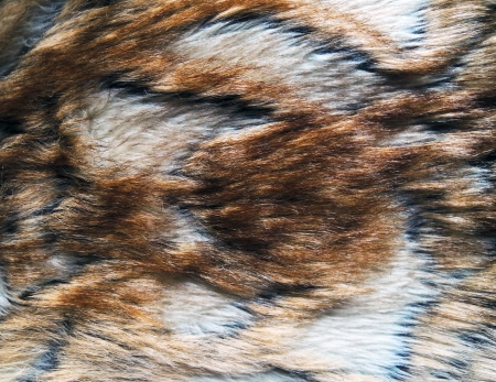 Fox fur backgroundの写真素材