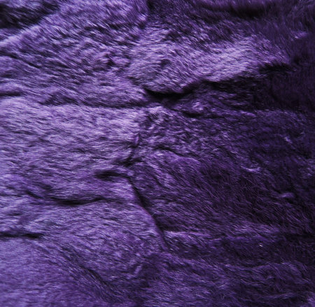 Purple fur textureの写真素材