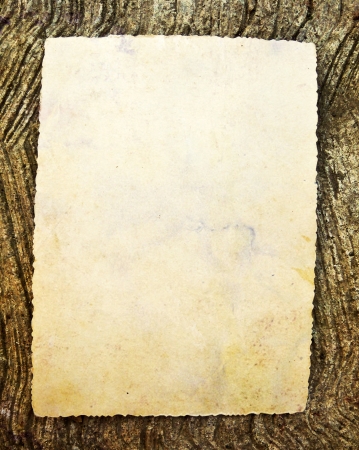 Blank vintage paperの写真素材