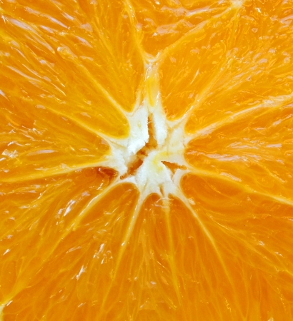 Orange macro backgroundの写真素材