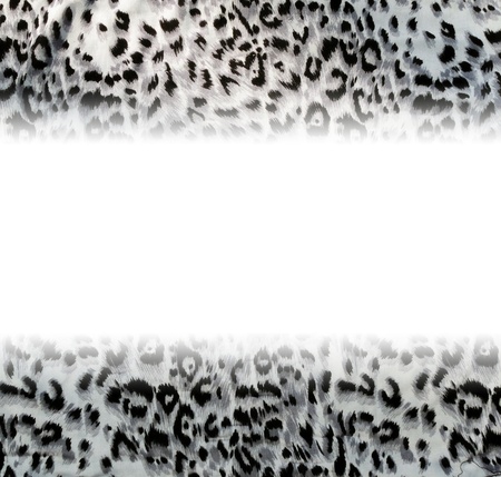 Leopard skin pattern textureの写真素材