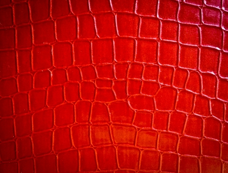 Animal skin textureの写真素材