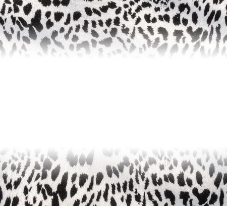 Leopard fabric textile with empty spaceの写真素材
